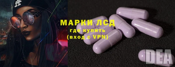 стафф Каменка