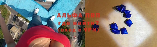 стафф Каменка