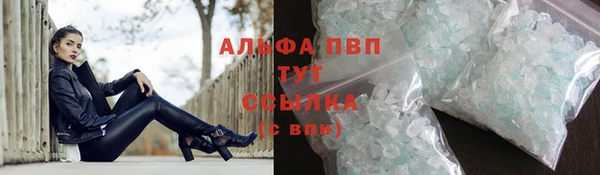 стафф Каменка