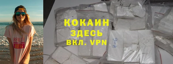 стафф Каменка